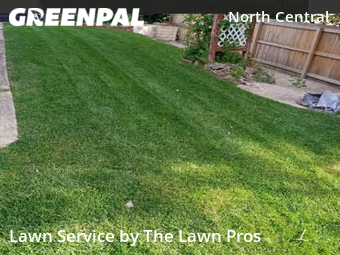 Grass Cut nearby Broomfield, CO, 