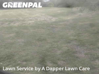 Lawn Services in Bellingham, 98226, Weed Trimming by A Dapper Lawn Care, work completed in Nov , 2025