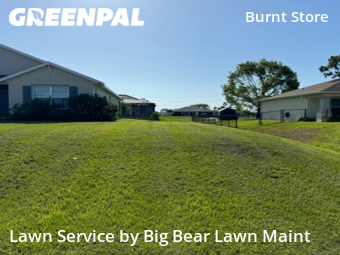 Lawn Cut nearby Cape Coral, FL, 