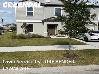 Yard Cutting nearby Land O'lakes, FL, 