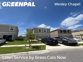 Lawn Mowin Wesley Chapel,33545,Yard Cutting by Grass Cuts Now, work completed in Jun , 2026