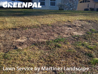 Lawn mowed in Eustis, 32726