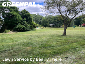 Yard Management in Mentor, 44060, Lawn Maintenance by Bearly There, work completed in Nov , 2025