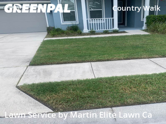 Lawn Service nearby Wesley Chapel, FL, 