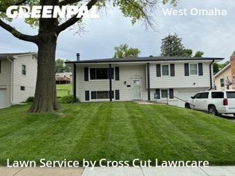 Yard Cutting nearby Omaha, NE, 