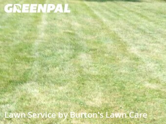 Yard Mowing nearby Youngstown, OH, 