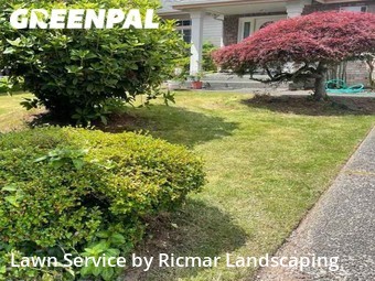 Grass Cutting nearby Bellevue, WA, 