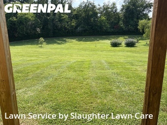 Yard Cutting nearby Powell, TN, 