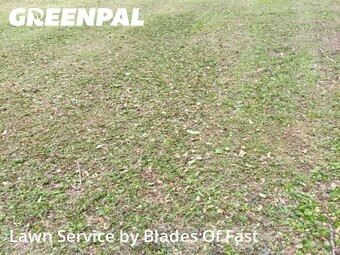 Grass Cutting nearby Newnan, GA, 