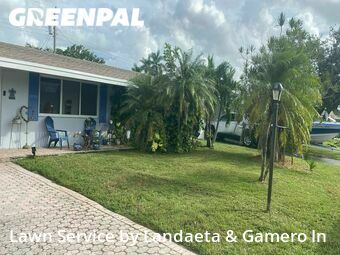 Grass Cut nearby Pembroke Pines, FL, 