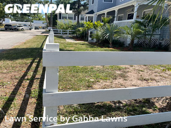 Lawn Cut nearby Daytona Beach, FL, 