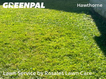 Lawn Mowing nearby Indianapolis, IN, 