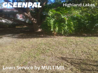 Grass Cutin Clearwater,33756,Lawn Cutting by MULTIMIL , work completed in Jan , 2026