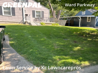 Grass Cutting nearby Kansas City, KS, 
