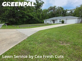 Lawn mowed in Ocala, 34482