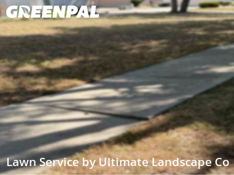 Lawn Carein Riverview,33579,Grass Cut by Ultimate Landscape Co, work completed in Feb , 2026