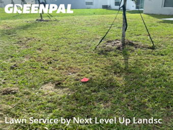 Lawn Cut nearby Haines City, FL, 