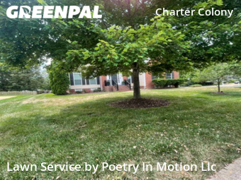 Yard Cutting nearby Midlothian, VA, 