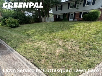 Grass Cut nearby Virginia Beach, VA, 