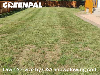 Yard Cuttingin Des Plaines,60016,Lawn Service by C&A Snowplowing And , work completed in Dec , 2025