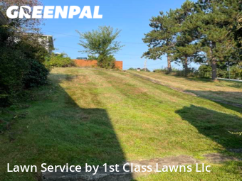 Lawn Cutting nearby Irwin, PA, 