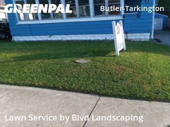 Lawn Cut nearby Indianapolis, IN, 