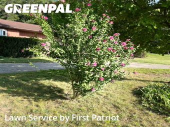 Yard Cutting nearby Bath Township, MI, 