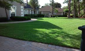 Lawn Care Service in Jacksonville, FL, 32210