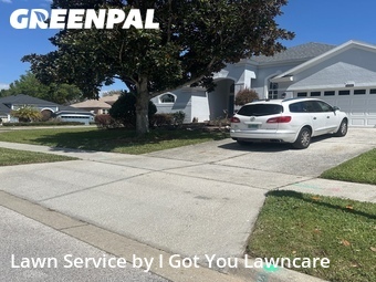 Grass Cutting nearby Clermont, FL, 