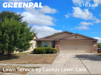 Grass Cutting nearby San Antonio, TX, 