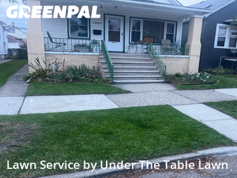 Grass Cut nearby Hamtramck, MI, 