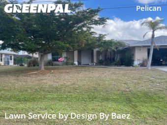 Grass Cutting nearby Cape Coral, FL, 