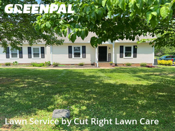 Lawn Cut nearby Murfreesboro, TN, 
