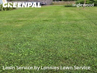 Grass Cutin Nashville,37216,Yard Cutting by Lonnies Lawn Service, work completed in Jun , 2026