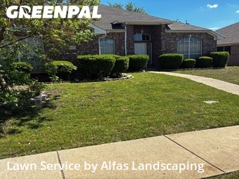 Landscapers In Lewisville,75067,Landscaping Renovation by Alfas Landscaping, work completed in Apr , 2026