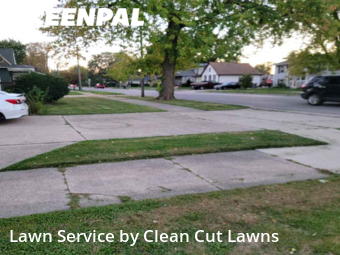 Lawn Cut nearby Elgin, IL, 