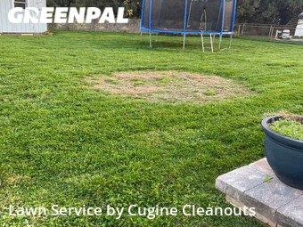 Lawn Cutting nearby Woodbridge Township, NJ, 