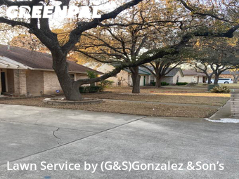Yard Cutting nearby San Antonio, TX, 