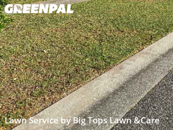 Lawn Servicein Altamonte Springs,32714,Grass Cut by Big Tops Lawn &Care, work completed in Nov , 2025