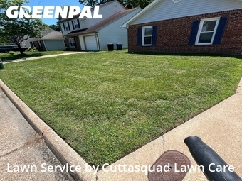 Yard Mowing nearby Virginia Beach, VA, 