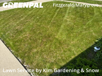 Yard Mowing nearby Detroit, MI, 