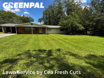 Lawn Mowing Service nearby Ocala, FL, 