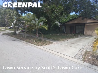 Lawn Care Service nearby Palm Harbor, FL, 