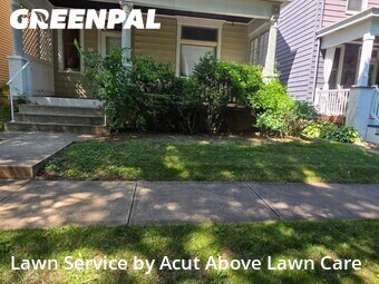 Yard Cutting nearby Aspinwall, PA, 