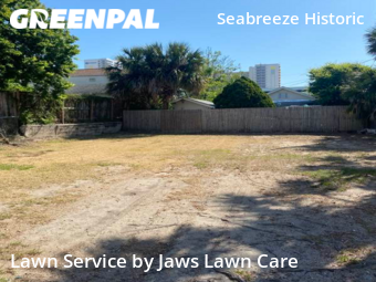 Lawn Cutting nearby Daytona Beach, FL, 