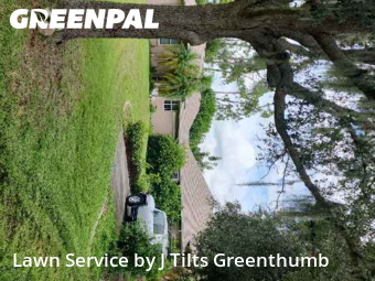 Lawn Cut nearby Port Charlotte, FL, 