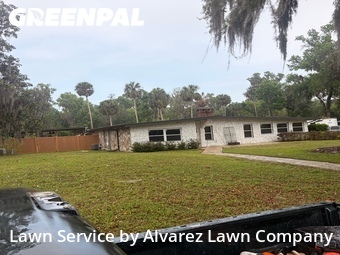 Grass Cutting nearby Apopka, FL, 