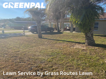 Lawn mowed in Ocala, 34472