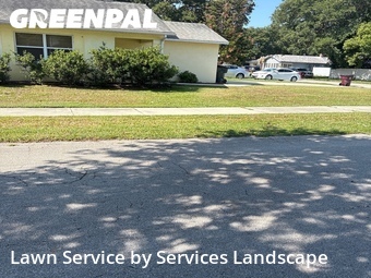 Grass Cutting nearby Saint Cloud, FL, 