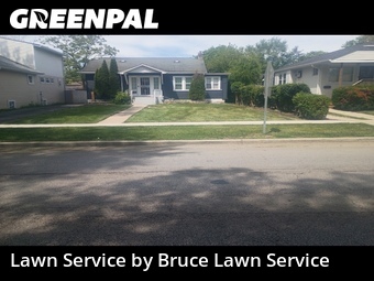 Lawn Cut nearby Maywood, IL, 